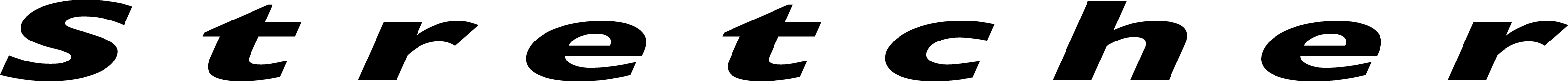 Stretcher
